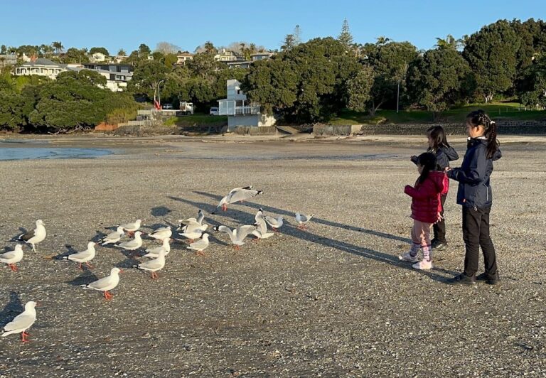 紐西蘭生態很豐富 小朋友開心的看海鷗
