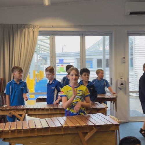 音樂課小朋友能自由的玩各式各樣樂器